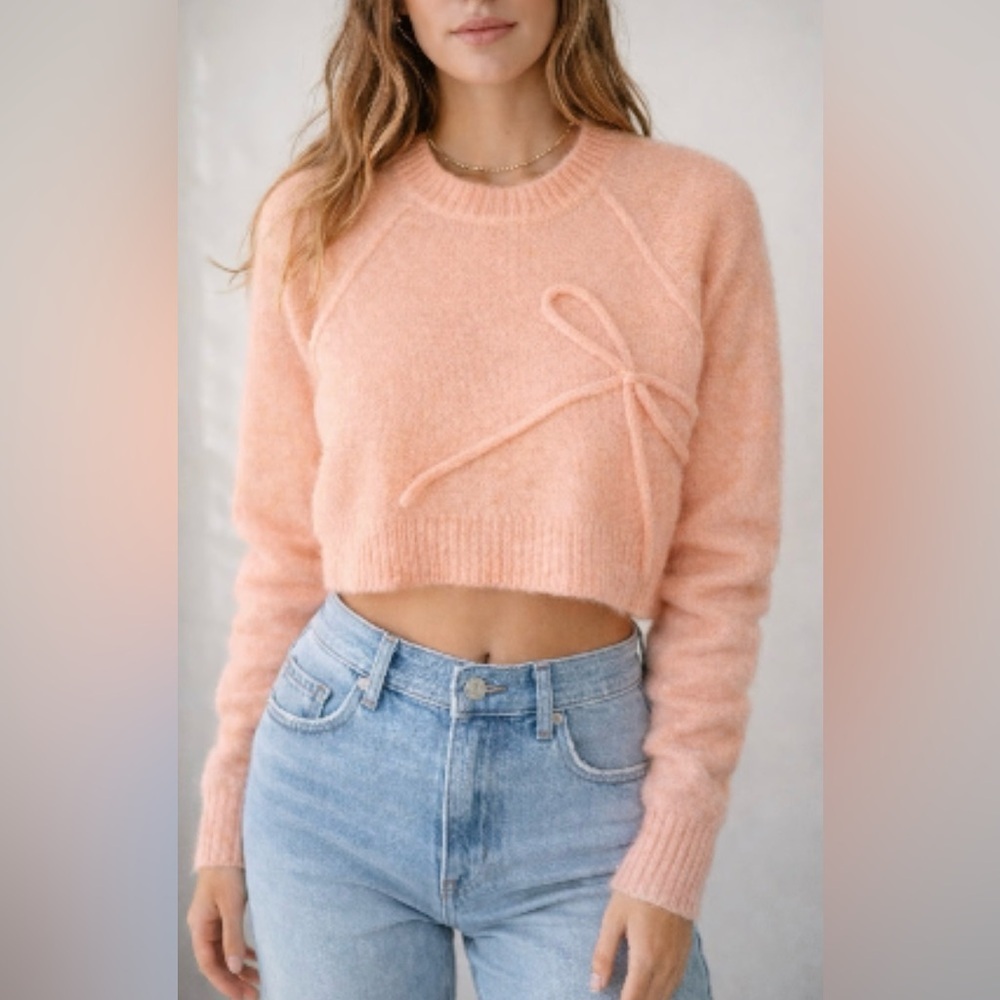 NWT AMERICAN EAGLE Cropped Crewneck Bow Sweater